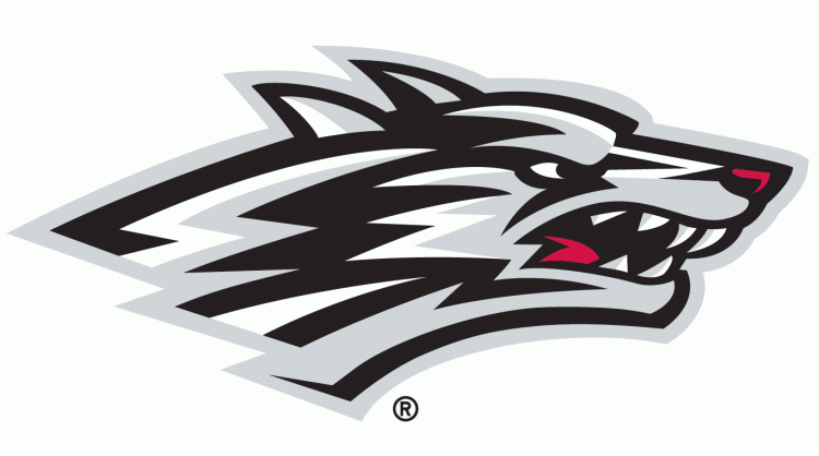 New Mexico Lobos 1999-Pres Alternate Logo v6 diy DTF decal sticker